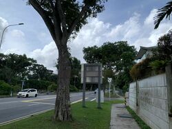 Watten Estate (D11), Terrace #481286271